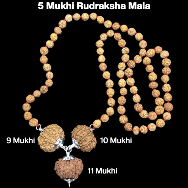 Rudraksha Combination for Total Protection 9,10,11 Mukhi Nepal in Rudraksha Mala
