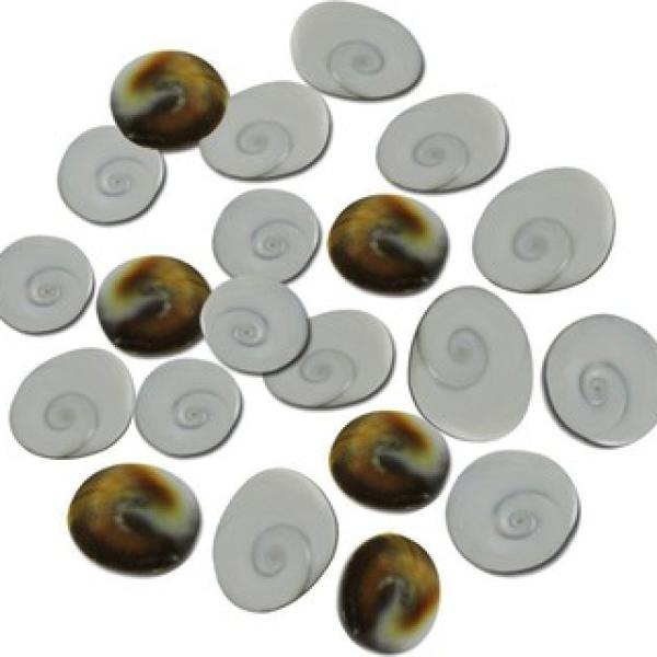 Gomti Chakra