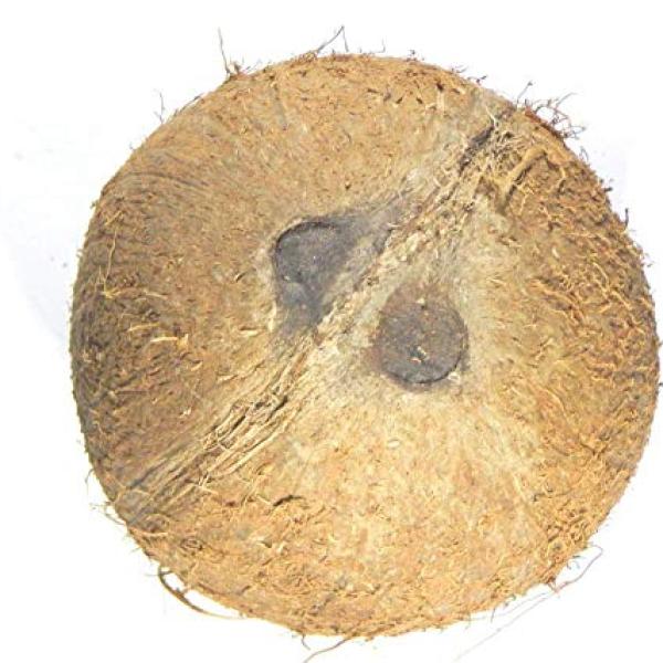 Ekaakshi Nariyal
