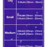 Rudraksha Combination for Health Power 3,3,5,5,5 Mukhi Nepal in Silver Mala