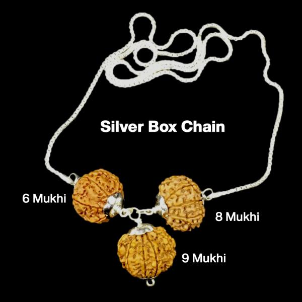 Rudraksha Combination for Females in Business 6,8,9 Mukhi Nepal in Silver Chain