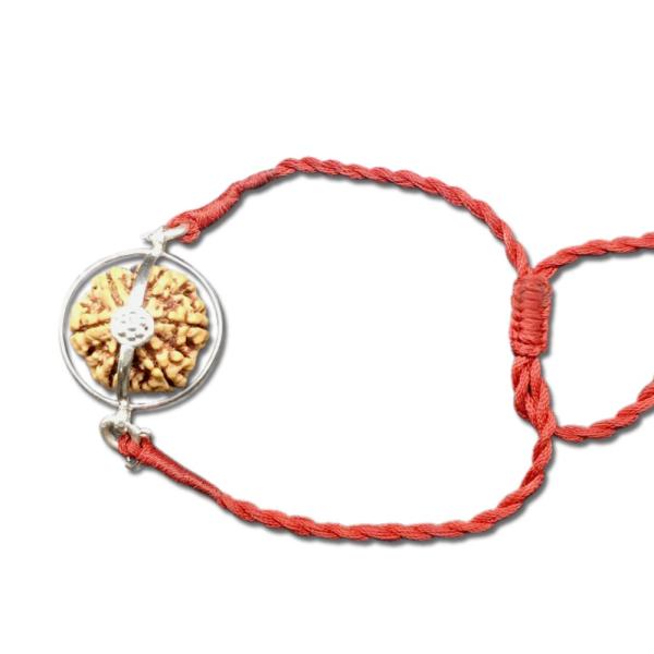 11 Mukhi Nepal Rudraksha In Pure Silver Case Bracelet