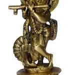 Kirshna Idol