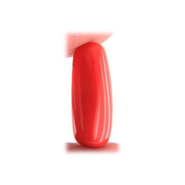 Natural Red Italian Coral 9-11 Carats
