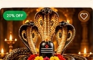 Kaal Sarp Dosh Nivaran Puja
